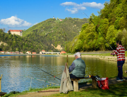 Sava živi